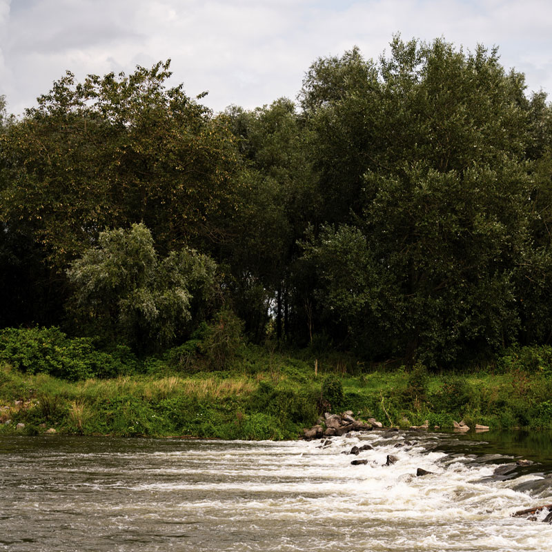 Geniet van het water en de groene natuur in rivierenpark Maasvallei